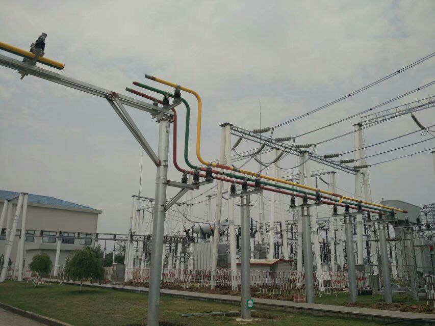 �^���~��ĸ��